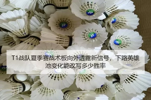 zhan-dui-xia-ji-sai-zhan-shu-ban-xiang-wai-tou-lu-xin-xin-hao-xia-lu-ying-xiong-chi-bian-hua-neng-gai-xie-duo-shao-3-397.jpg